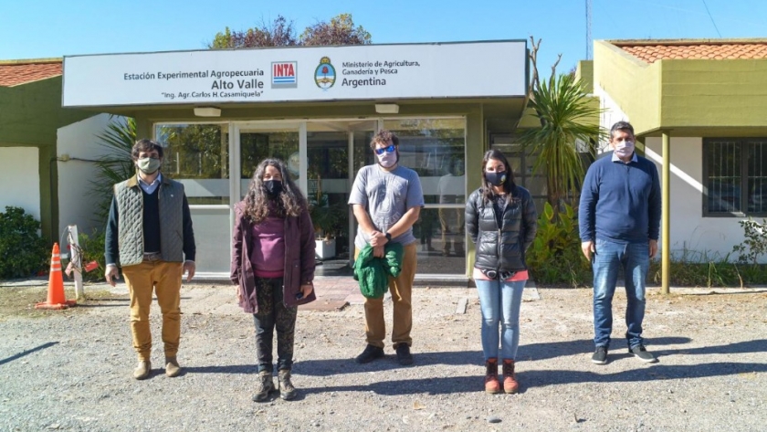 El INASE junto al Ministerio de Agricultura promueve la producción local de cannabis para uso medicinal