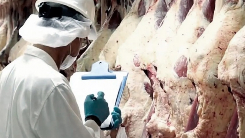 Exportaciones de carne caen durante septiembre