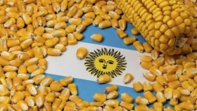 El maíz argentino alcanzó un récord de ventas externas con más de 1,8 millones de toneladas declaradas en un solo día