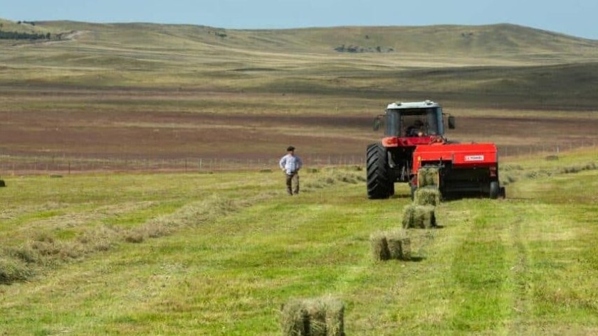 ”Desde el inicio de la gestión acompañamos a más del 70% de las Mipymes fueguinas con herramientas financieras»