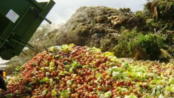 China convierte desperdicios alimentarios en fertilizantes y alimento para animales: un modelo replicable