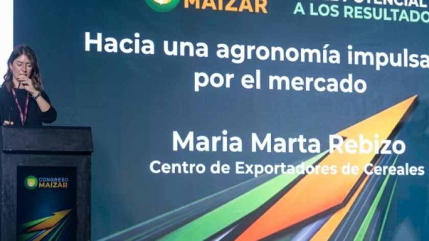 Alertan que las exigencias sanitarias externas ya condicionan el manejo agronómico del maíz y el sorgo argentino