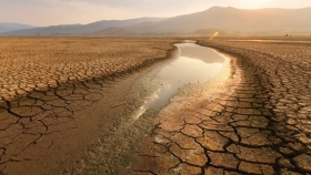 ¿Cuál es el impacto del cambio climático?