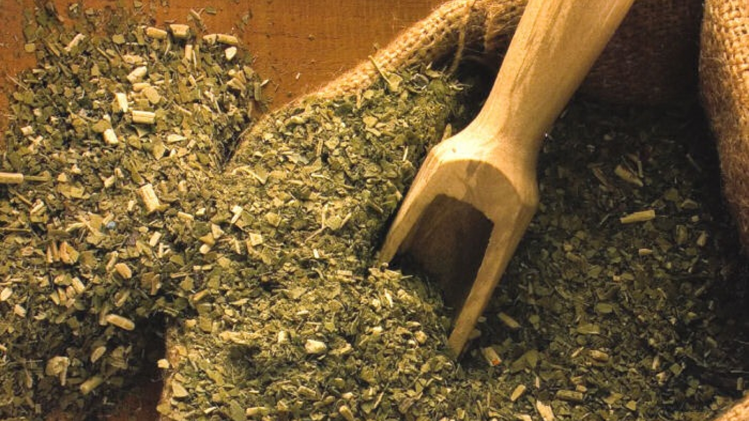 De residuo a recurso: científicos convierten la yerba mate usada en biocombustibles y bioplásticos