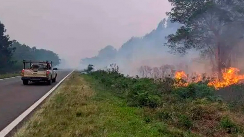 Corrientes: estiman pérdidas millonarias en los aserraderos afectados por incendios