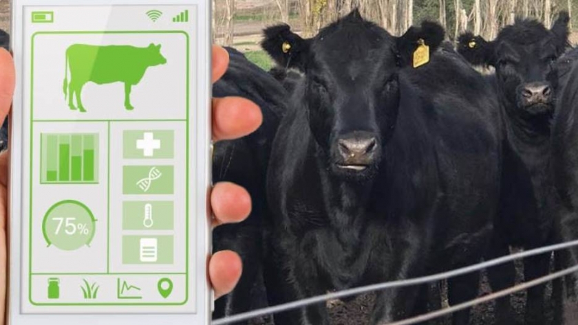 Nuevos plazos para el certamen Agtech Ganadero