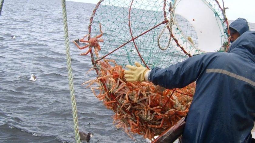 Pesca patagónica: repunte de crustáceos en diciembre no logra revertir la caída anual del 9,5% en 2025