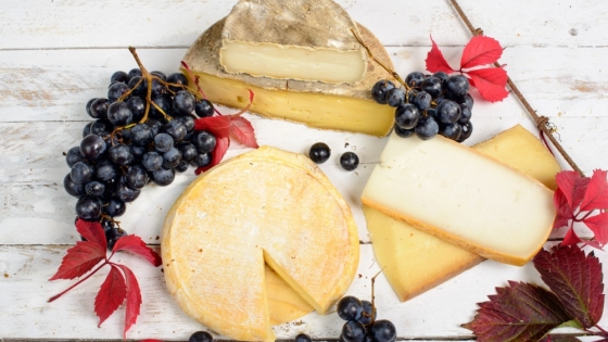 El arte de la quesería en Francia: Un legado centenario
