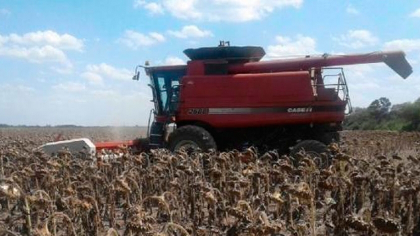 Nación aprobó la emergencia agropecuaria para el Chaco