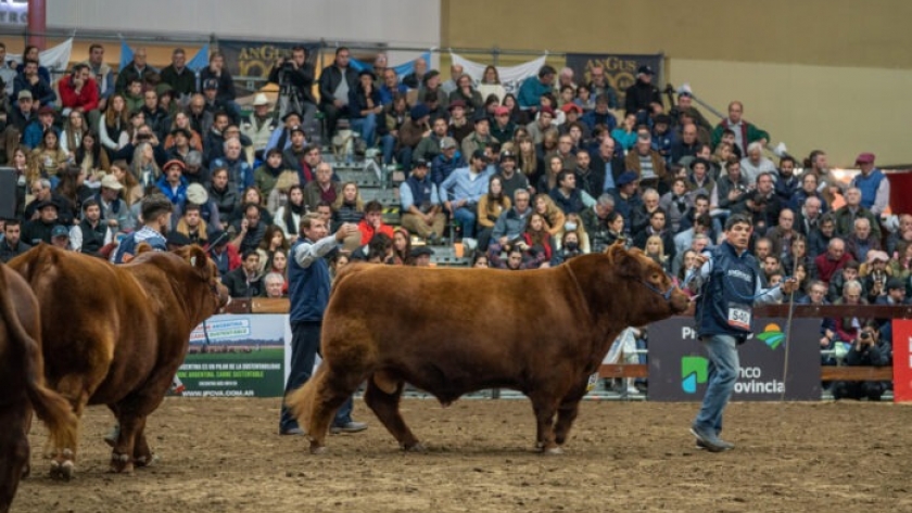 Se viene la 81ª Edición de Expo Angus de Otoño