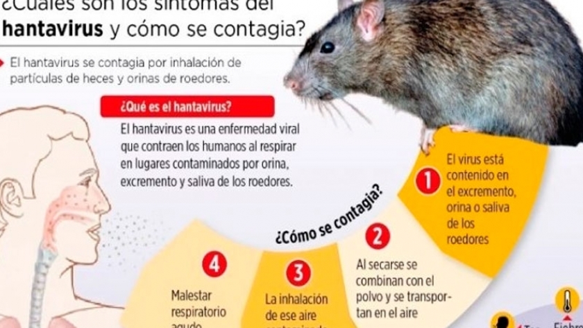 Confirman la muerte de un pescador por hantavirus en Diamante