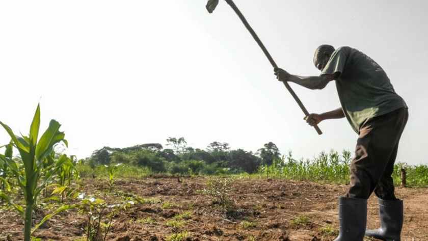 Aumento del acceso telefónico a los pequeños agricultores para obtener mejores cosechas