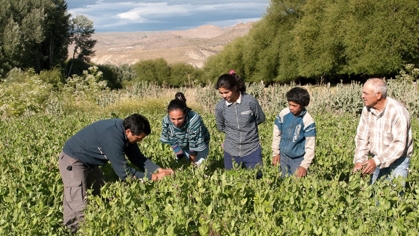 RENATRE La Rioja participó de una capacitación a través de video conferencia protocolo COVID para empresas agrícolas y agroindustriales
