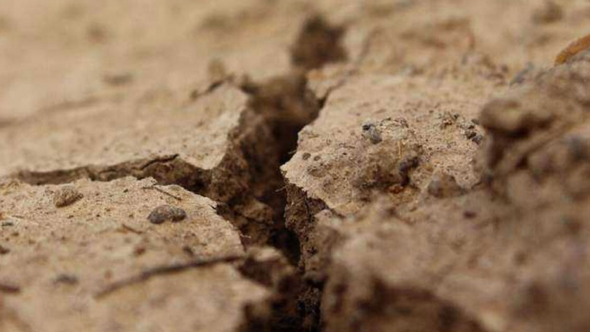 Contrarrestar la degradación de la tierra cultivable: los desechos que despertaron el suelo