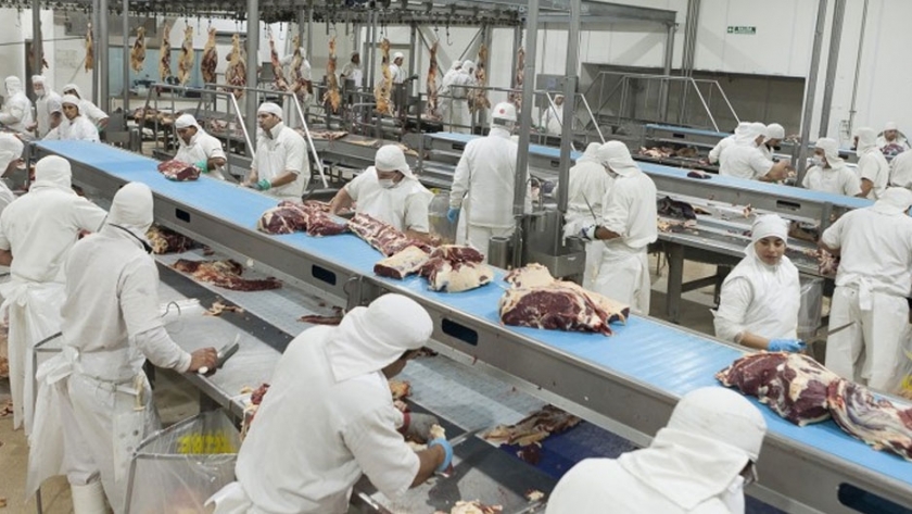 Quiénes fueron los principales faenadores de febrero