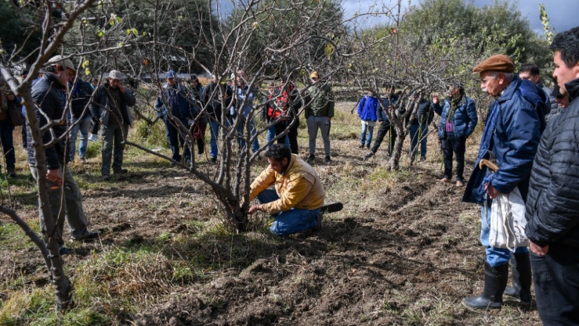 Jornada de actualización técnica sobre el cultivo del membrillero en Andalgalá