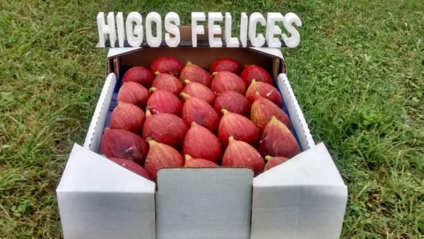 Higos Felices: un aliado en la cocina