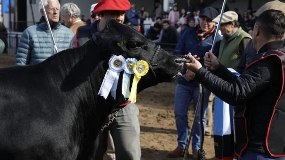 Una Brangus de Corral de Guardia fue elegida Gran Campeón Hembra en Palermo por su funcionalidad y genética