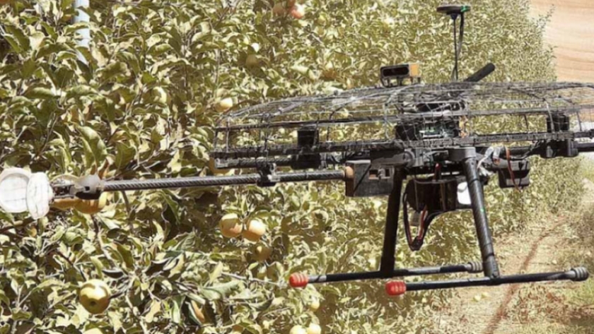Automatización: ¿se viene la cosecha con drones?