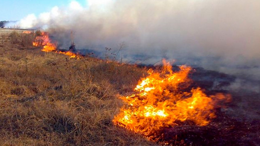CRA se opone a la nueva Ley de Manejo del Fuego