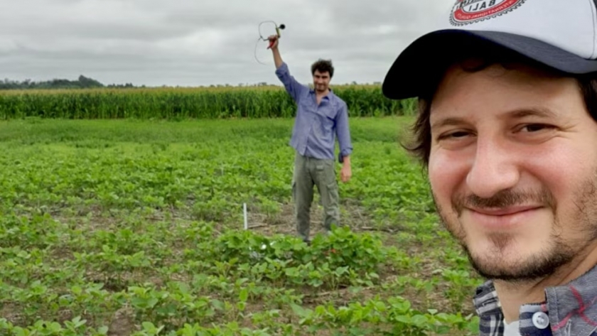 Revelan el impacto del óxido nitroso en la agricultura argentina