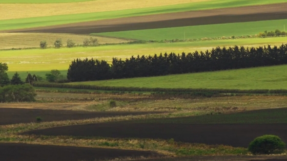 El INTA impulsa una iniciativa pionera para integrar la conservación en la agricultura