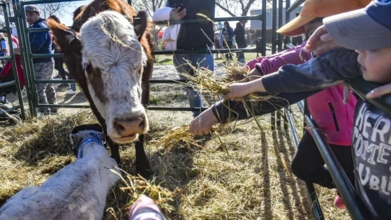 Viedma movilizó casi $1.000 millones con la Expo Rural y una agenda de eventos