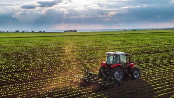 Las empresas agropecuarias buscan diversificarse y salir de la dependencia de las commodities