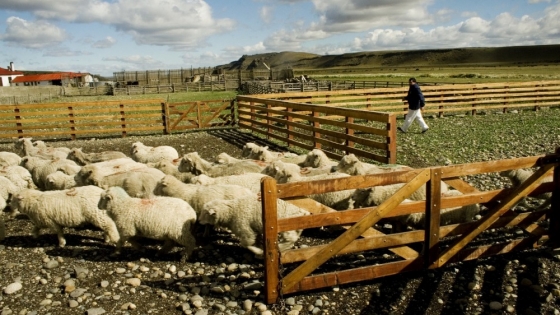 Tierra del Fuego: Simplificación de trámites por internet para productores