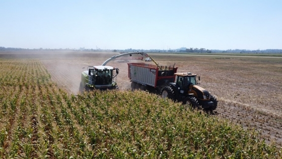 Preocupación en Santa Fe por la alta presión tributaria nacional sobre el agro