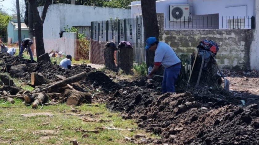 Comenzó la obra de ampliación de red de gas natural en la localidad de Maciá
