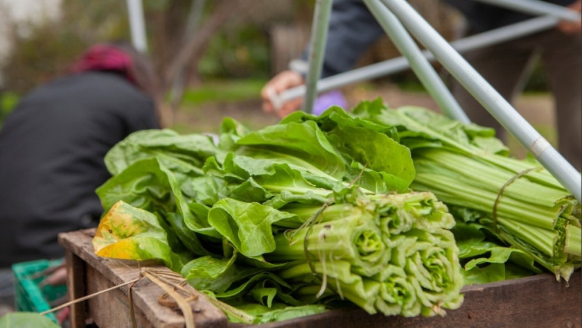 Curso de Agroecología para fortalecer su desarrollo en Villa de Merlo de la provincia de San Luis