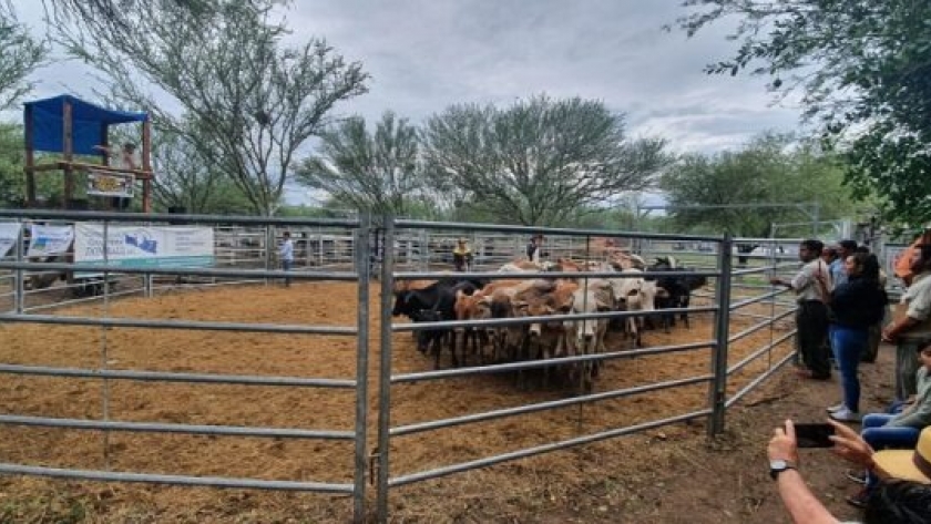 Gildo Insfrán participará del segundo remate de productores paipperos, en el aniversario del PAIPPA