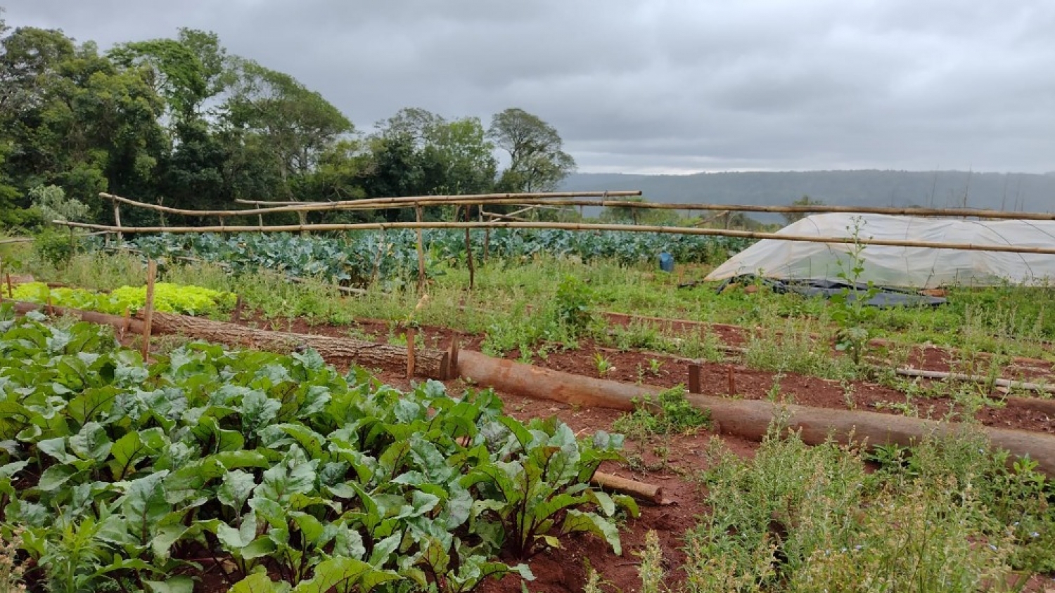 Agricultura Familiar fortaleció un proyecto productivo sustentable en San Vicente