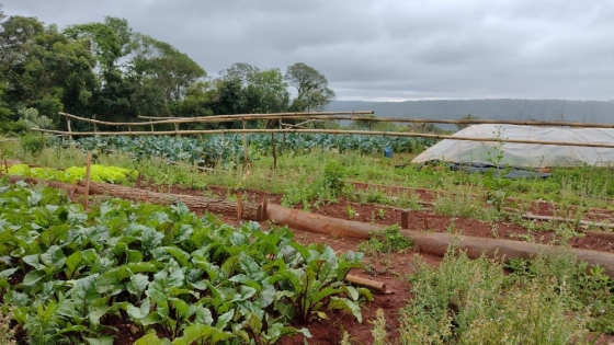 Agricultura Familiar fortaleció un proyecto productivo sustentable en San Vicente