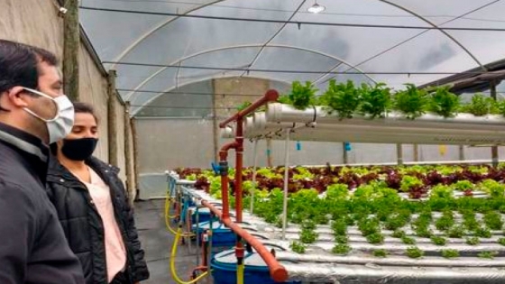 Compre Chaqueño: El Ministro Lifton recorrió innovador emprendimiento hortícola en Colonia Benítez