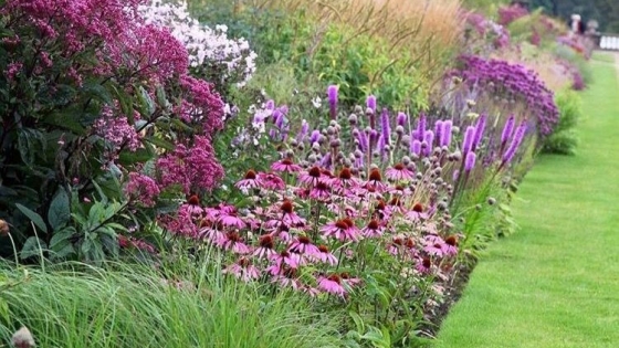 Paisajismo: Las “praderas” son una tendencia en jardinería utilizada para fomentar la biodiversidad