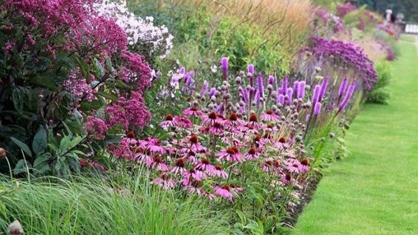 Paisajismo: Las “praderas” son una tendencia en jardinería utilizada para fomentar la biodiversidad