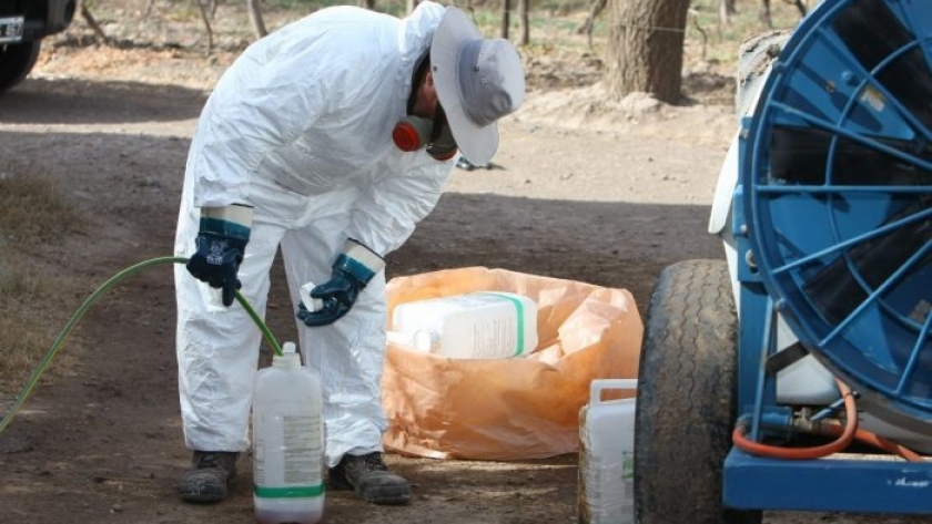 Mendoza, a la vanguardia en la gestión de envases vacíos de agroquímicos