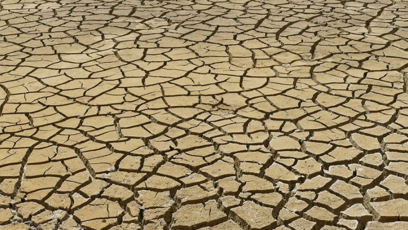 La sequía ya alcanza a 11 provincias y genera pérdidas en la actividad agropecuaria