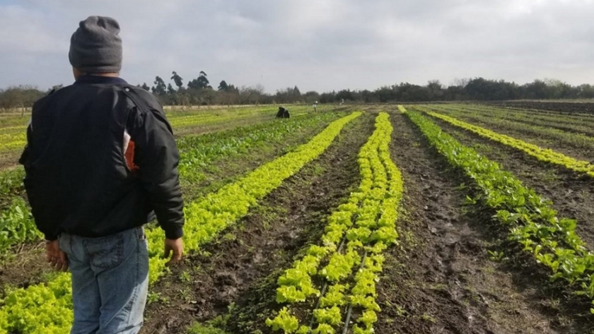 Agricultura incentiva la producción orgánica con un fuerte compromiso federal