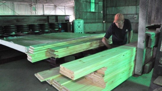 CLT en Argentina | Desarrollan los primeros paneles de madera contralaminada 