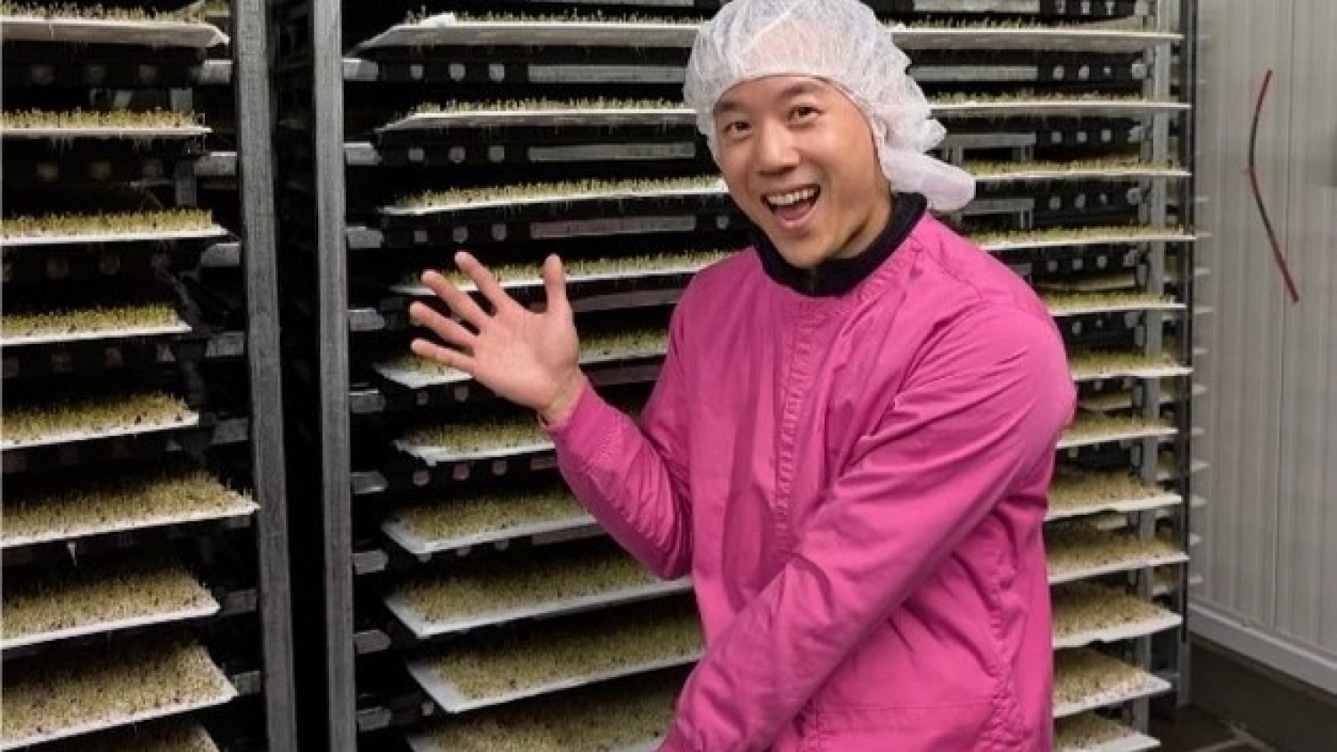 After losing its biggest customer, Vegbed looks to new markets