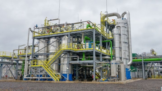 Menos trabas para la biotecnología: el agro suma una nueva herramienta para acelerar inversiones e innovación
