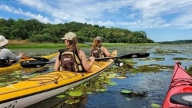 Proponen una experiencia en kayak por el Yabebirí a cambio de plantar un árbol nativo para restaurar una reserva en San Ignacio