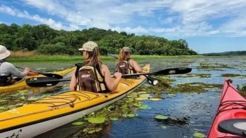 Proponen una experiencia en kayak por el Yabebirí a cambio de plantar un árbol nativo para restaurar una reserva en San Ignacio