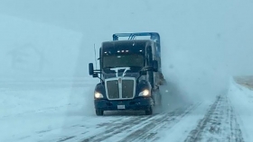 Explotó el precio del trigo ante el temor de que la ola de frío extremo dañe el cultivo de invierno en Estados Unidos