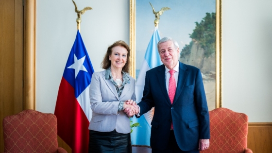 Mondino en Chile: reunión bilateral de cancilleres para avanzar en la agenda política y la integración económica, fronteriza y energética