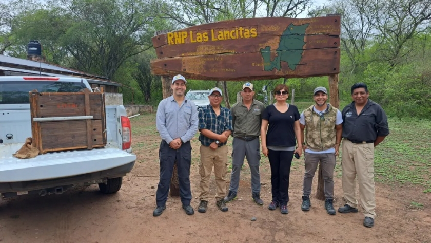 Ejemplares de fauna silvestre regresaron a su hábitat natural