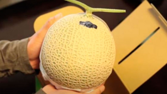 Crown Melon, el melón más caro del mundo llega a España: ¿de dónde viene este manjar?